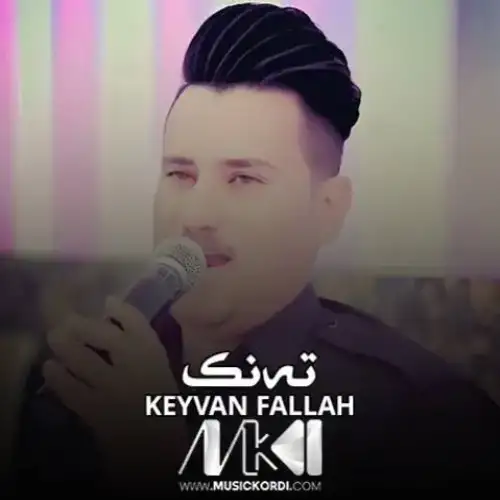 ته‌نک
